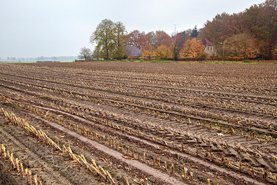 BUITEN BEELD Foto: 213779