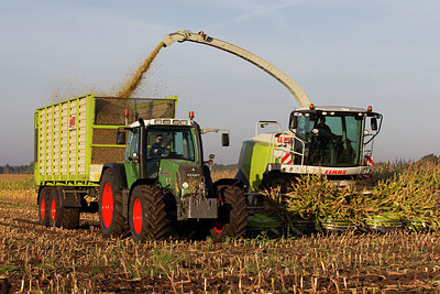 BUITEN BEELD Foto: 214000