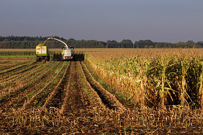 BUITEN BEELD Foto: 214001