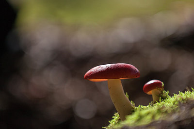 BUITEN BEELD Foto: 214017