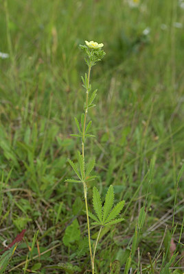 BUITEN BEELD Foto: 214064