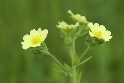BUITEN BEELD Foto: 214076