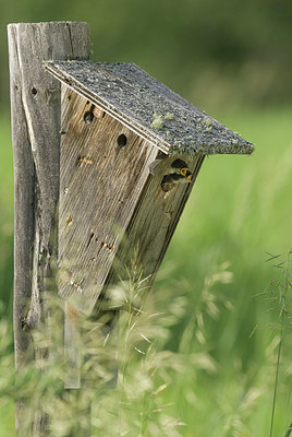 BUITEN BEELD Foto: 214079
