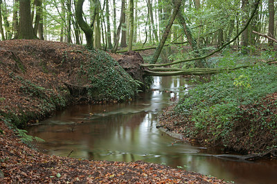 BUITEN BEELD Foto: 214361