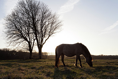 BUITEN BEELD Foto: 214375