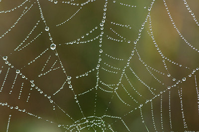 BUITEN BEELD Foto: 214503