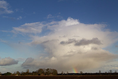 BUITEN BEELD Foto: 214546