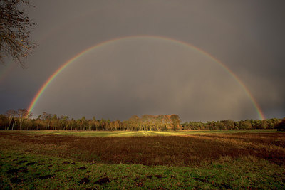 BUITEN BEELD Foto: 214547