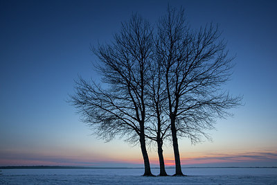BUITEN BEELD Foto: 214564