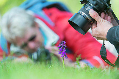 BUITEN BEELD Foto: 214584