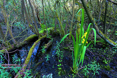 BUITEN BEELD Foto: 214601