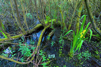 BUITEN BEELD Foto: 214615