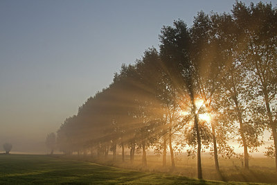 BUITEN BEELD Foto: 214716