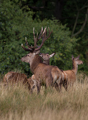BUITEN BEELD Foto: 214740