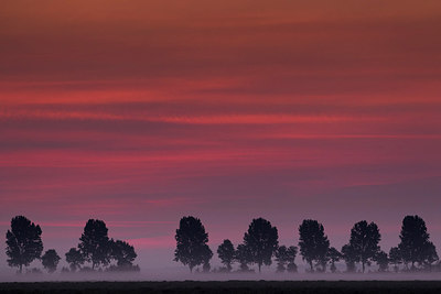BUITEN BEELD Foto: 214744