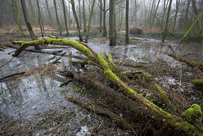 BUITEN BEELD Foto: 214750