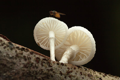 BUITEN BEELD Foto: 214751