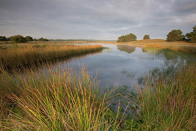 BUITEN BEELD Foto: 214838