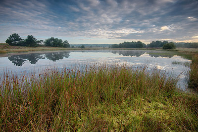 BUITEN BEELD Foto: 214839