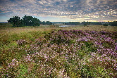 BUITEN BEELD Foto: 214840