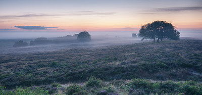 BUITEN BEELD Foto: 214841