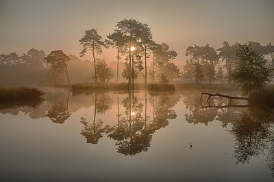 BUITEN BEELD Foto: 214843