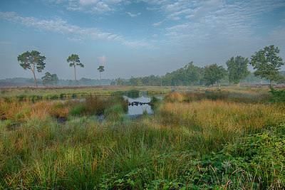 BUITEN BEELD Foto: 214844