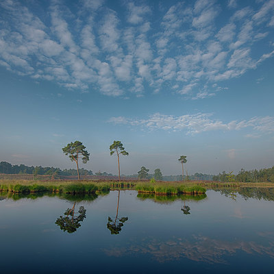 BUITEN BEELD Foto: 214845