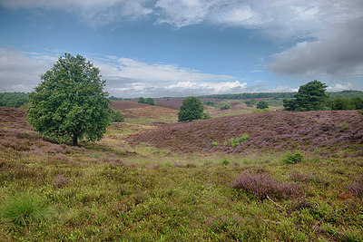 BUITEN BEELD Foto: 214847