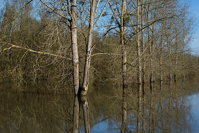 BUITEN BEELD Foto: 214850