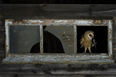 BUITEN BEELD Foto: 214865