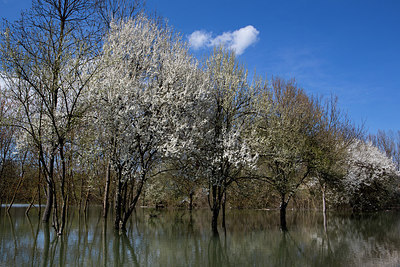 BUITEN BEELD Foto: 214910