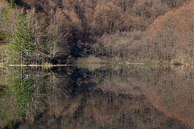 BUITEN BEELD Foto: 214920