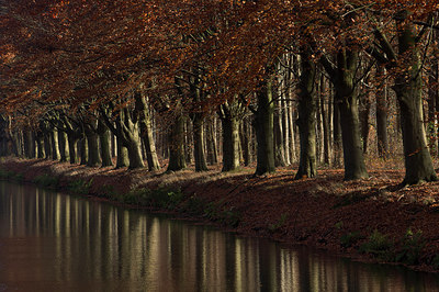 BUITEN BEELD Foto: 214925