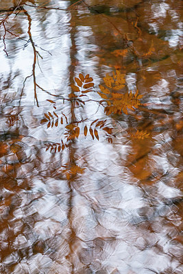 BUITEN BEELD Foto: 214971