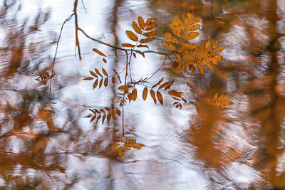 BUITEN BEELD Foto: 214972