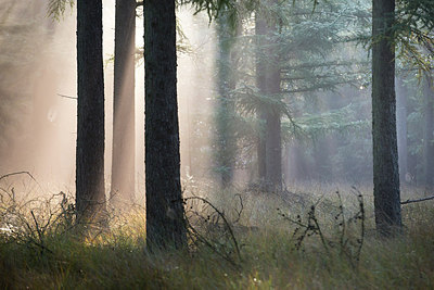 BUITEN BEELD Foto: 215059