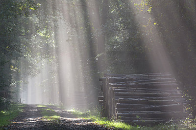 BUITEN BEELD Foto: 215061