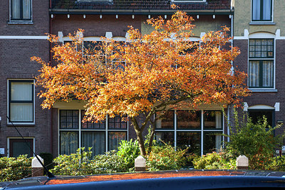 BUITEN BEELD Foto: 215077