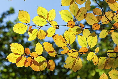 BUITEN BEELD Foto: 215079