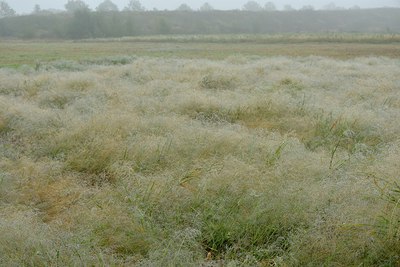 BUITEN BEELD Foto: 215102