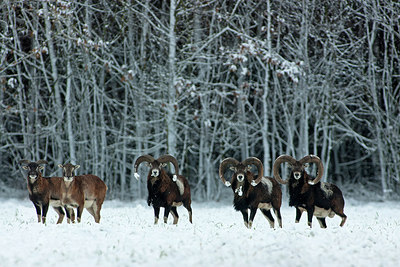 BUITEN BEELD Foto: 215115
