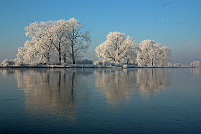 BUITEN BEELD Foto: 215121