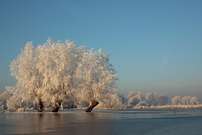 BUITEN BEELD Foto: 215198