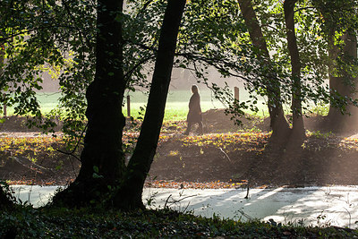 BUITEN BEELD Foto: 215270