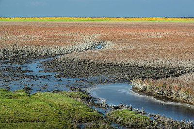 BUITEN BEELD Foto: 215278