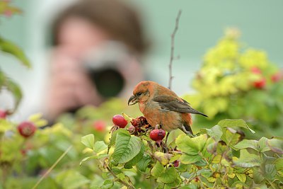 BUITEN BEELD Foto: 215289