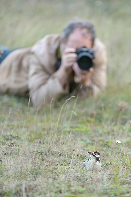 BUITEN BEELD Foto: 215312