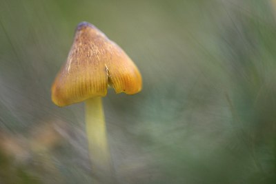 BUITEN BEELD Foto: 215372
