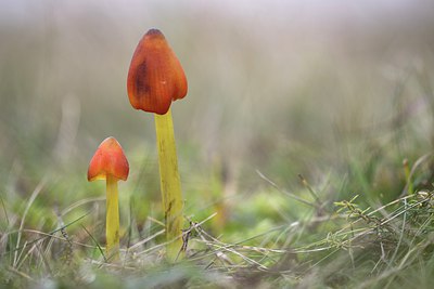 BUITEN BEELD Foto: 215377
